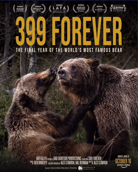 Free screening: 399 Forever